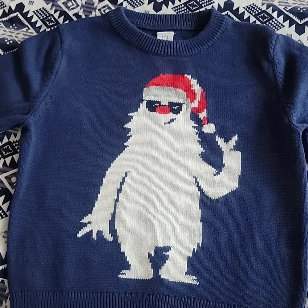 GAP Kids Little Boys Sweaters Lot of Two (2)